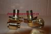 Product image 1 of the product “Brass piano castor with pin ”