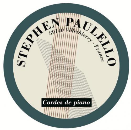 Product image 1 of the product “Piano wire round Typ 0 polish № 12.5 Paulello  0,5 kg ”