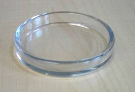 Product image of the product “Castor cup  70 mm Ø transparent ”